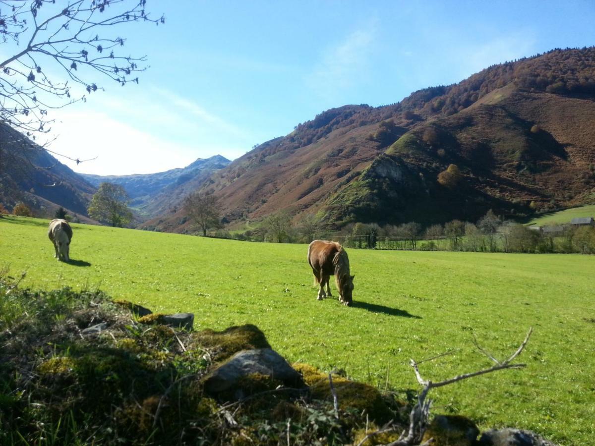 Accous Gite De Montagne Du Plateau De Lhers- Accueil Randonneurs מראה חיצוני תמונה