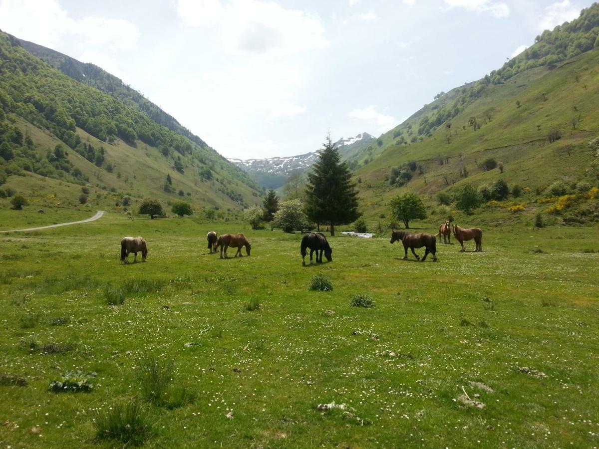 Accous Gite De Montagne Du Plateau De Lhers- Accueil Randonneurs מראה חיצוני תמונה