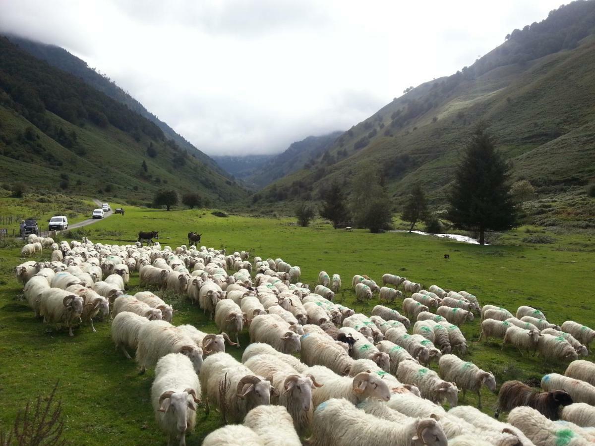 Accous Gite De Montagne Du Plateau De Lhers- Accueil Randonneurs מראה חיצוני תמונה