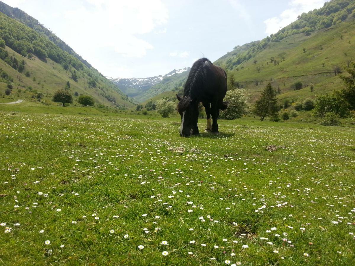 Accous Gite De Montagne Du Plateau De Lhers- Accueil Randonneurs מראה חיצוני תמונה